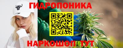 spice Обь