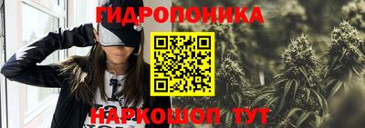 spice Обь