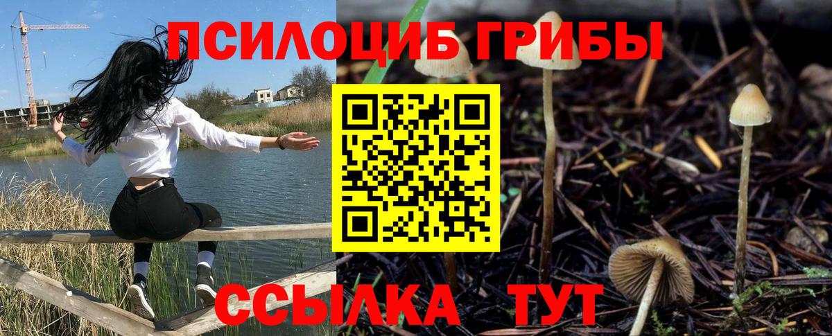 Тара  Галлюциногенные грибы мухоморы  Вход с VPN 