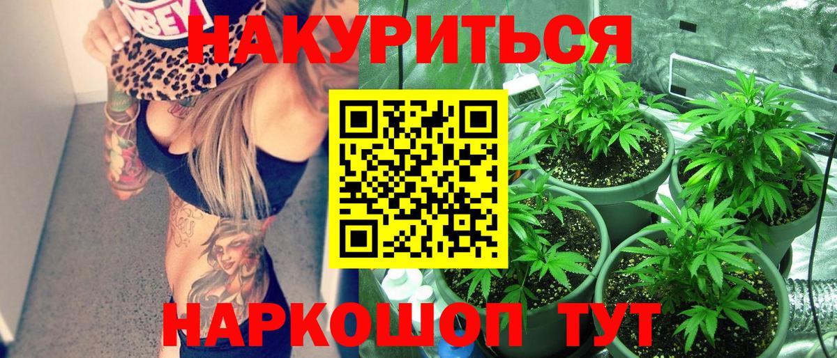 Шишки марихуана сатива  Каннабис марихуана  Тара  Вход с VPN  Шишки марихуана планчик  Шишки марихуана THC 21% 